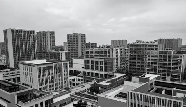 企业运营中人才培养系统实施的关键建议